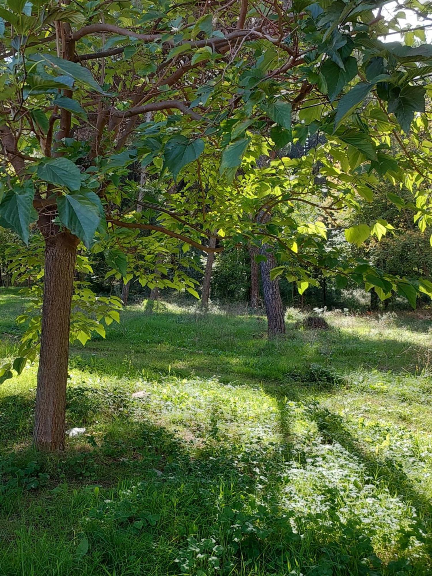A'Studio Tirana Exteriér fotografie